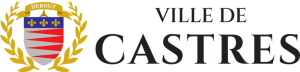 Concessions de distribution d'électricité et de gaz - référence collectivités conseils